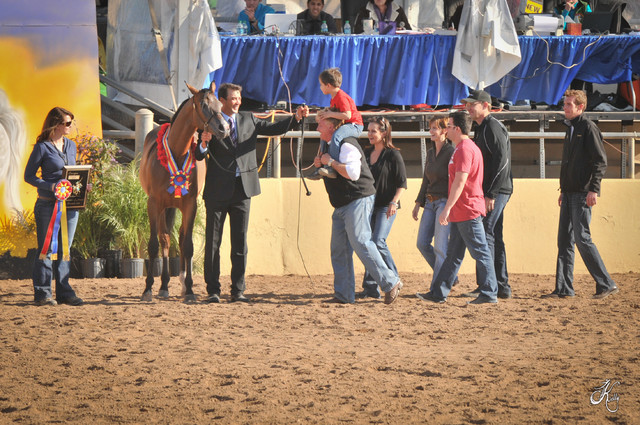 2012 Scottsdale Show Photos | Arare Photography