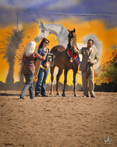 2012 Scottsdale Show Photos | Arare Photography