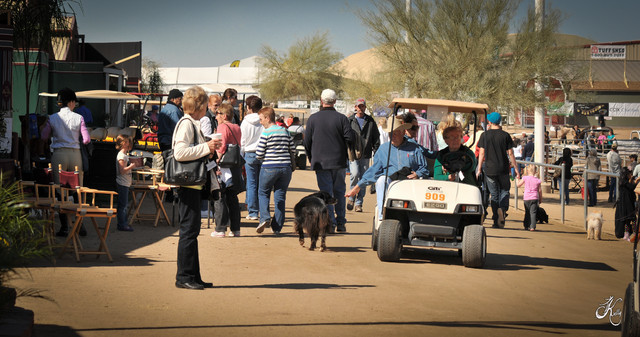 2012 Scottsdale Show Photos | Arare Photography