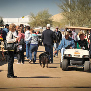 2012 Scottsdale Show Photos | Arare Photography