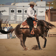 2012 Scottsdale Show Photos | Arare Photography
