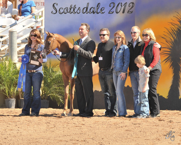2012 Scottsdale Show Photos | Arare Photography