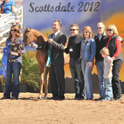2012 Scottsdale Show Photos | Arare Photography