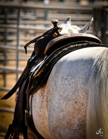2012 Scottsdale Show Photos | Arare Photography