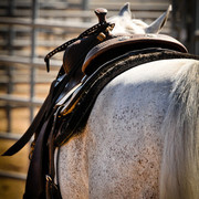 2012 Scottsdale Show Photos | Arare Photography