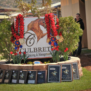 2012 Scottsdale Show Photos | Arare Photography
