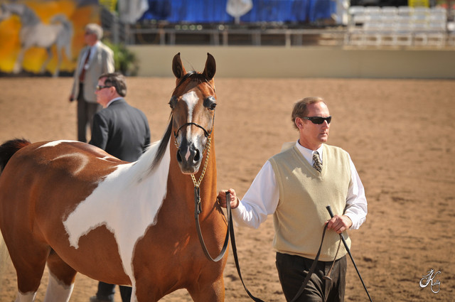 2012 Scottsdale Show Photos | Arare Photography