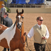 2012 Scottsdale Show Photos | Arare Photography