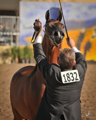 2012 Scottsdale Show Photos | Arare Photography