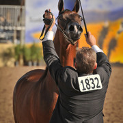 2012 Scottsdale Show Photos | Arare Photography