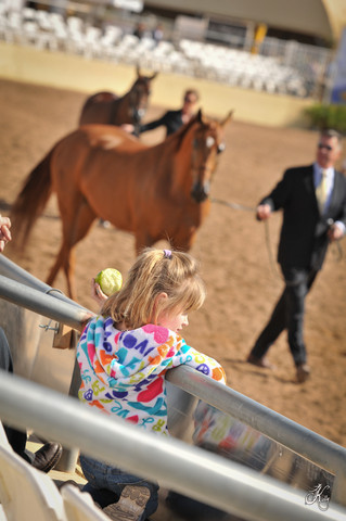 2012 Scottsdale Show Photos | Arare Photography