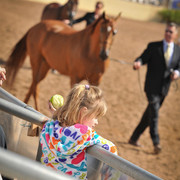 2012 Scottsdale Show Photos | Arare Photography