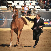2012 Scottsdale Show Photos | Arare Photography