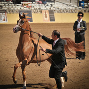 2012 Scottsdale Show Photos | Arare Photography