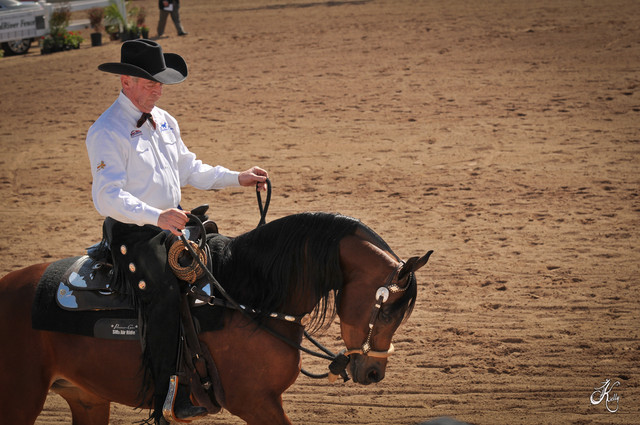 2012 Scottsdale Show Photos | Arare Photography