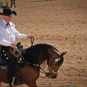 2012 Scottsdale Show Photos | Arare Photography