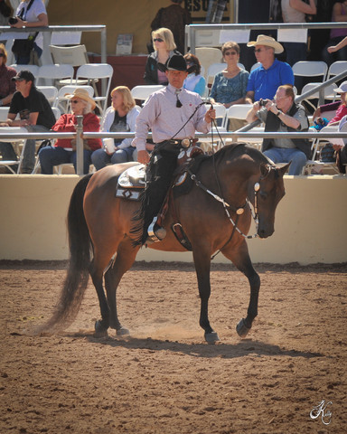 2012 Scottsdale Show Photos | Arare Photography