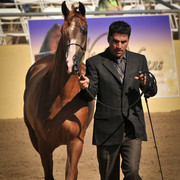 2012 Scottsdale Show Photos | Arare Photography