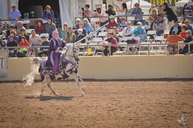 2012 Scottsdale Show Photos | Arare Photography