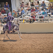 2012 Scottsdale Show Photos | Arare Photography