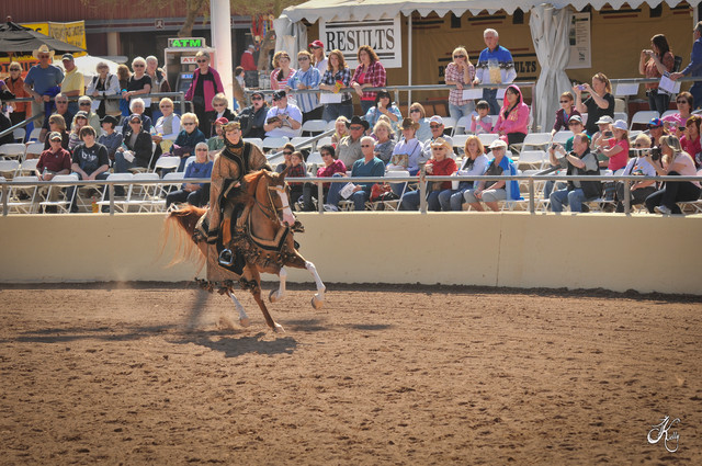 2012 Scottsdale Show Photos | Arare Photography