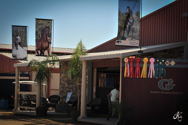 2012 Scottsdale Show Photos | Arare Photography