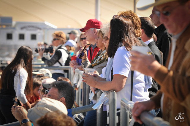 2012 Scottsdale Show Photos | Arare Photography