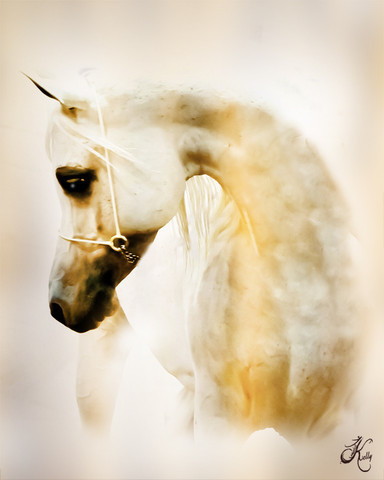 2012 Scottsdale Show Photos | Arare Photography