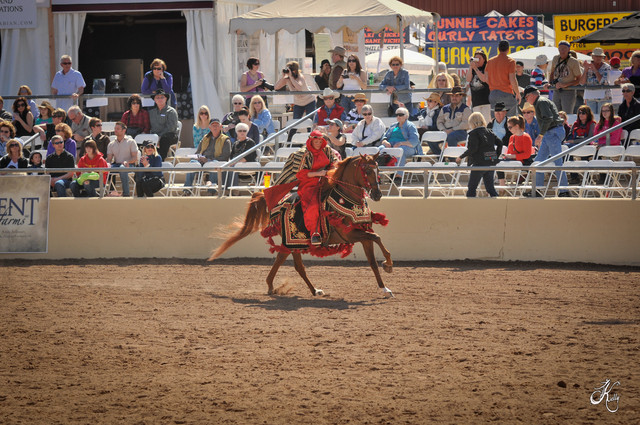 2012 Scottsdale Show Photos | Arare Photography