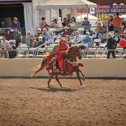2012 Scottsdale Show Photos | Arare Photography
