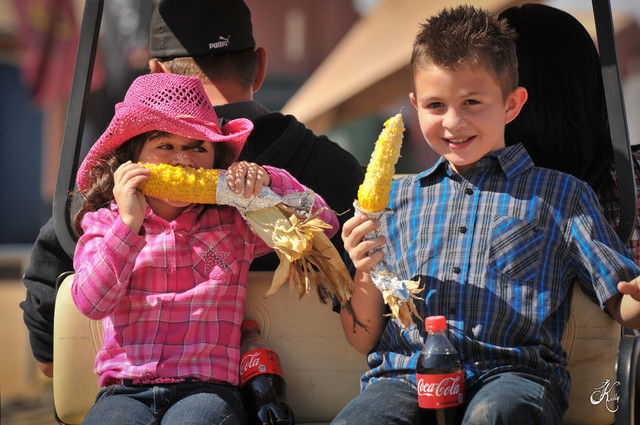 2012 Scottsdale Show Photos | Arare Photography