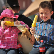 2012 Scottsdale Show Photos | Arare Photography