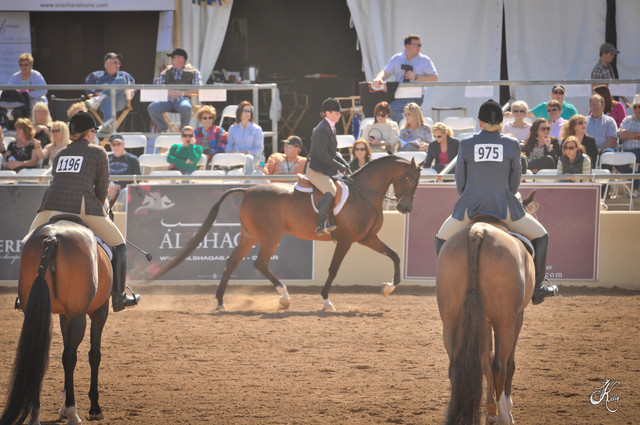 2012 Scottsdale Show Photos | Arare Photography