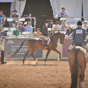 2012 Scottsdale Show Photos | Arare Photography