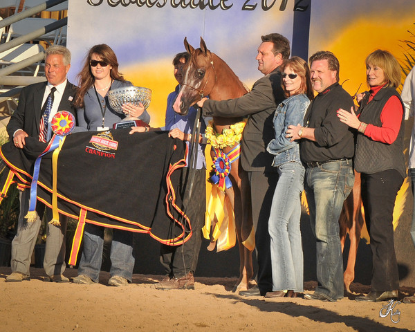 2012 Scottsdale Show Photos | Arare Photography