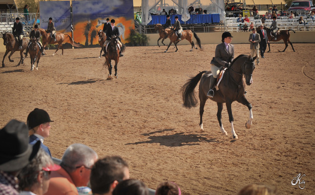 2012 Scottsdale Show Photos | Arare Photography