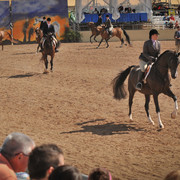 2012 Scottsdale Show Photos | Arare Photography