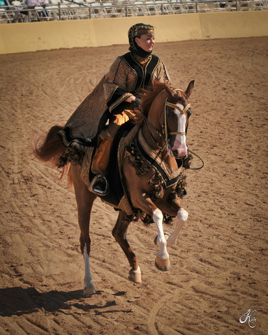 2012 Scottsdale Show Photos | Arare Photography