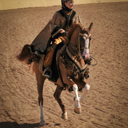 2012 Scottsdale Show Photos | Arare Photography