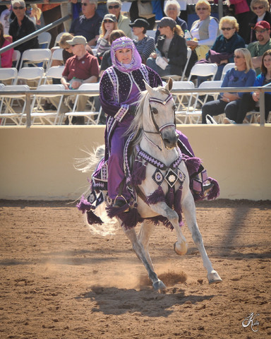 2012 Scottsdale Show Photos | Arare Photography