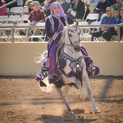 2012 Scottsdale Show Photos | Arare Photography