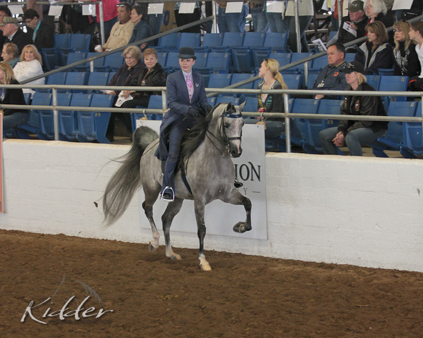 2012 Scottsdale Show Photos | Kidder Equine