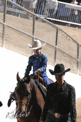 2012 Scottsdale Show Photos | Kidder Equine