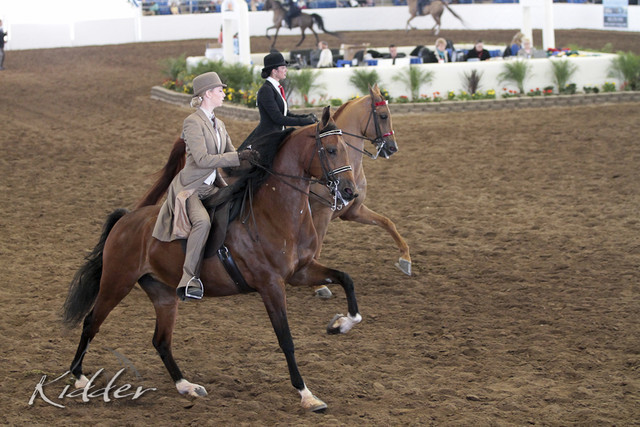2012 Scottsdale Show Photos | Kidder Equine
