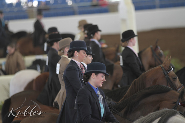2012 Scottsdale Show Photos | Kidder Equine