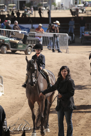 2012 Scottsdale Show Photos | Kidder Equine