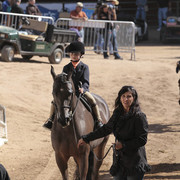 2012 Scottsdale Show Photos | Kidder Equine