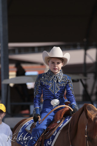 2012 Scottsdale Show Photos | Kidder Equine