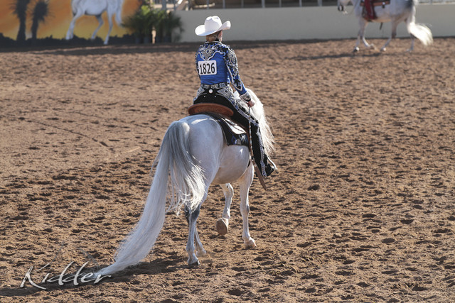 2012 Scottsdale Show Photos | Kidder Equine