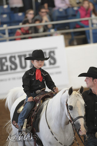 2012 Scottsdale Show Photos | Kidder Equine